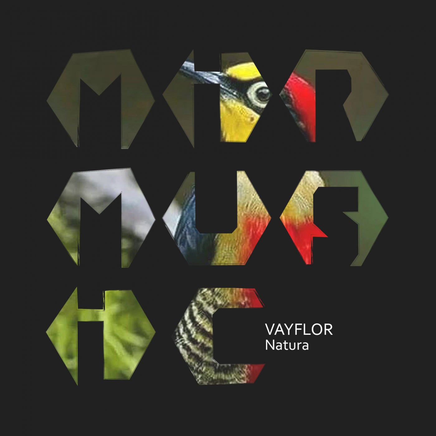 VayFlor – Natura [MIRM071]